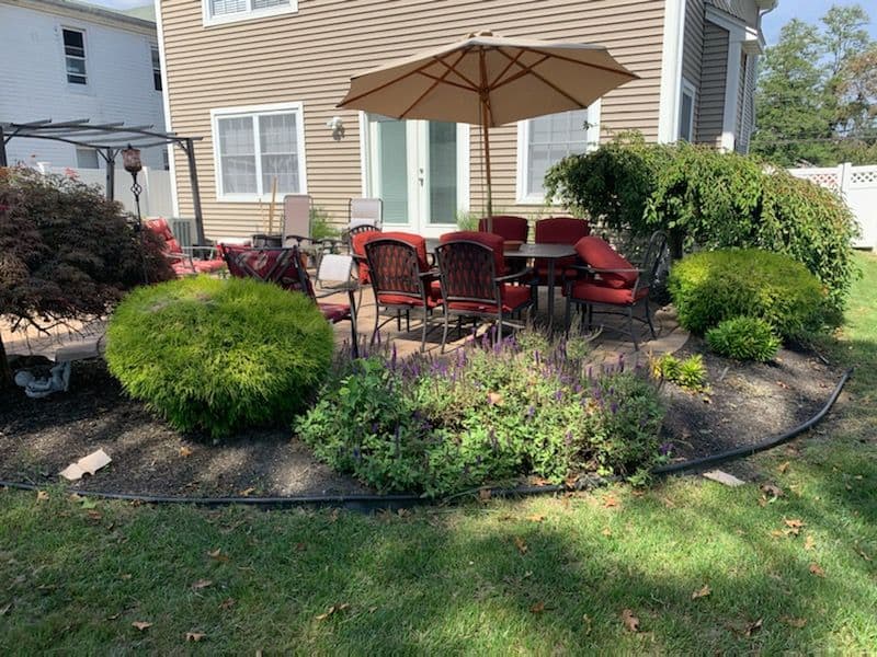 Backyard patio with pergola, umbrella and shaped shrubs in a fresh mulch bed