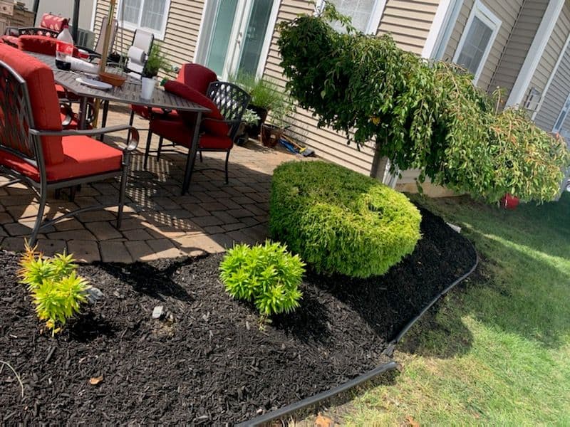 Paver patio with red chairs and rounded shrubs in an edged mulch bed